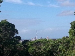 owairaka-sky-tower